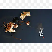 寒露式的背景宽屏