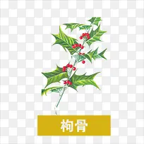 草药