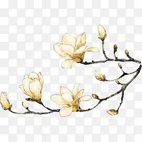 手绘花卉艺术画报