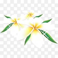 白色卡通花夏日