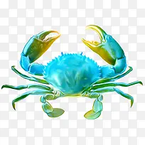 蓝色螃蟹
