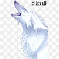 手绘白狼