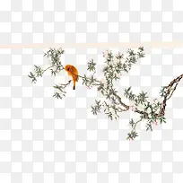 中国风鹦鹉绘画素材