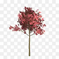绘制春天里的一株大树