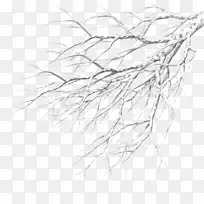 精美手绘水彩中国风冬天覆雪树枝插画素材