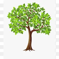 一棵手绘绿树矢量PNG
