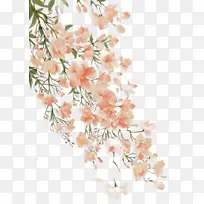古风彩绘的花枝