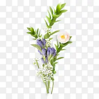 手绘紫色 白色花束