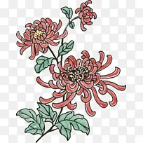 清新粉色花朵手绘菊花装饰元素图片