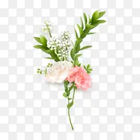 粉白色系列鲜花