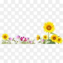 向日葵树莓花免扣素材