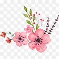 立春节气桃花花朵png