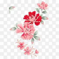 粉色牡丹花素材