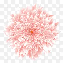 粉色，牡丹花，