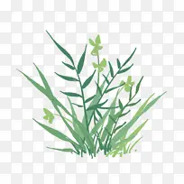 花草清新大自然草丛