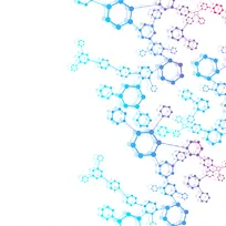 分子结构示意图1