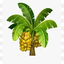 一棵精美的手绘香蕉树