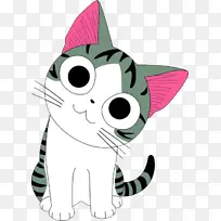 小猫，可爱猫
