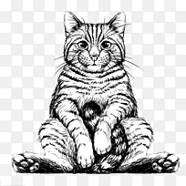 黑白坐着的猫