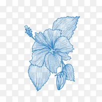 浅蓝色手绘花朵