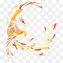 手绘凤凰插画
