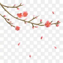 古风梅花摇曳盛开