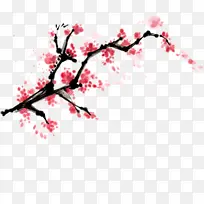 精美手绘中国风水彩写意国画红梅花