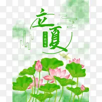 立夏荷花荷叶蜻蜓二十四节气