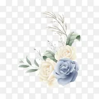 花朵花卉蓝色