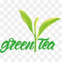 叶-叶植物茎商品标志字体