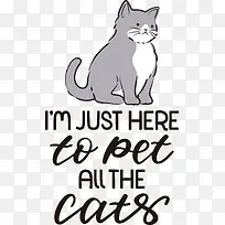 猫-猫狗爪子胡须小猫