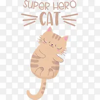 猫-猫小猫胡须尾巴小