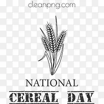 全国谷物日-全国谷物日谷物日谷物食品