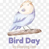 国际鸟类日-国际鸟类日鸟类日鸟类