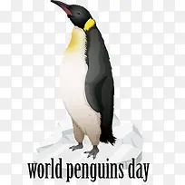 世界企鹅日——企鹅