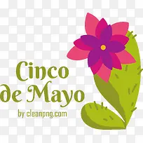 cincodeMayo-五月五日五月五日