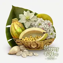 维苏-椰子