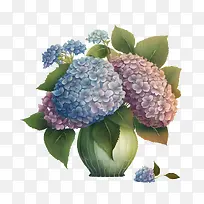 绣球花-绣球花瓶