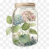 水彩绣球花-水彩绣球花玻璃罐