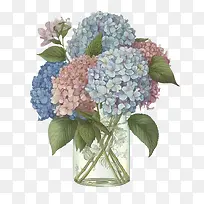绣球花-绣球花瓶