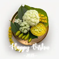 维苏-椰子