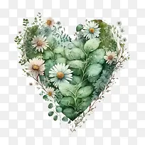 水彩雏菊-雏菊