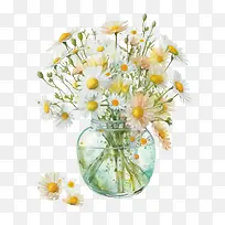 水彩雏菊-花瓶