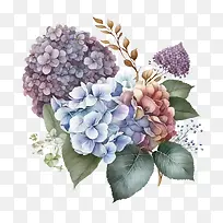 水彩绣球花-水彩绣球花绣球花的布置