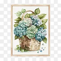 水彩绣球花-水彩绣球花篮子里的绣球花