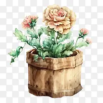水彩康乃馨-花盆