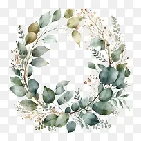 水彩桉树-水彩桉树简单花环桉树花环