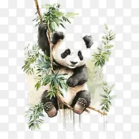 可爱的熊猫-可爱的熊猫宝宝竹子