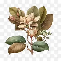 水彩占帕-热带花卉
