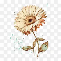 水彩雏菊-水彩花
